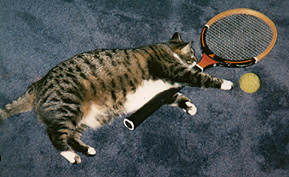 [Dasen with Tennis Racket photo]
